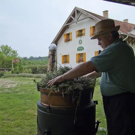 Noll Tanya Vendeghaz * Felcsút