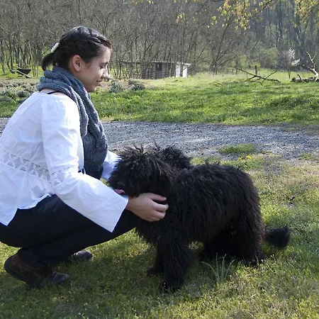Penzion Noll Tanya Vendeghaz